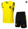 Diseño Camiseta entrenamiento sin mangas Flamengo amarillo 2024/2025