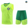 Buscar Camiseta entrenamiento sin mangas Palmeiras amarillo 2024/2025