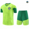 Diseño Camiseta entrenamiento Palmeiras + Pantalón amarillo 2024/2025