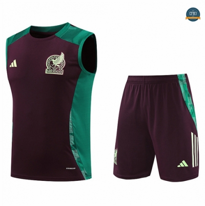 Comprar Camiseta entrenamiento sin mangas Mexico marrón 2024/2025