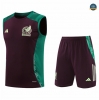 Comprar Camiseta entrenamiento sin mangas Mexico marrón 2024/2025