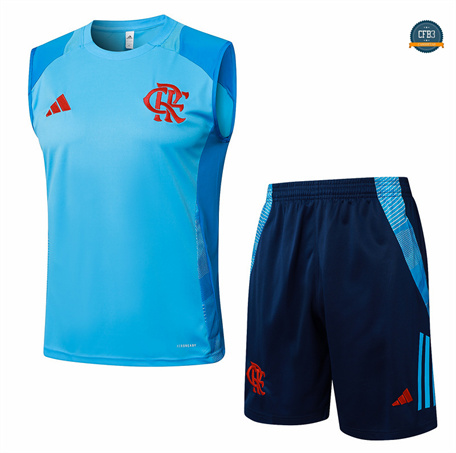 Diseño Camiseta entrenamiento sin mangas Flamengo azul claro 2024/2025