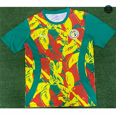 Venta Camiseta Senegal Equipación Training 2024/2025