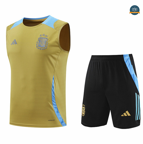 Comprar Camiseta entrenamiento sin mangas Argentina amarillo 2024/2025