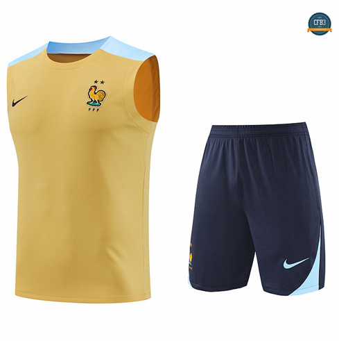 Comprar Camiseta entrenamiento sin mangas Francia amarillo 2024/2025