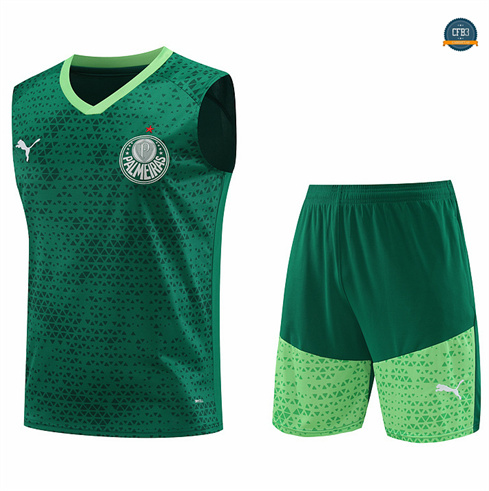 Ofertas Camiseta entrenamiento sin mangas Palmeiras verde 2024/2025