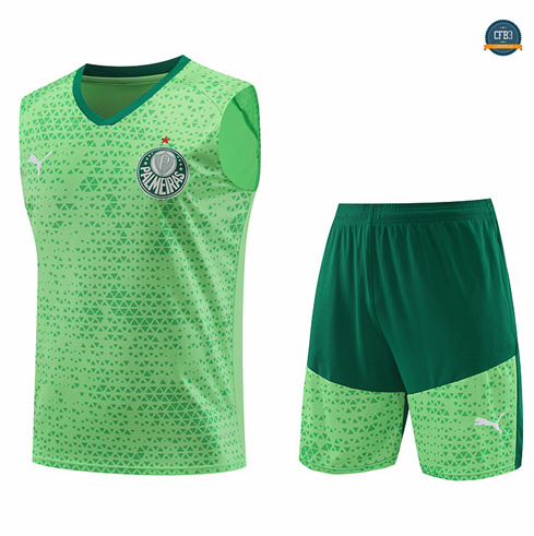 Hacer Camiseta entrenamiento sin mangas Palmeiras verde claro 2024/2025