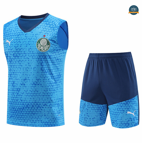 Outlet Camiseta entrenamiento sin mangas Palmeiras azul 2024/2025