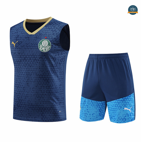 Crear Camiseta entrenamiento sin mangas Palmeiras azul 2024/2025