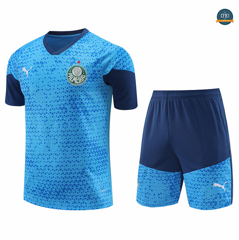 Venta Camiseta entrenamiento Palmeiras + Pantalón azul 2024/2025